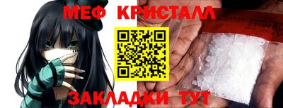 PSILOCYBIN Гатчина