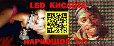 PSILOCYBIN Гатчина