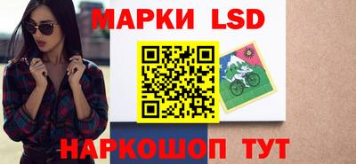 PSILOCYBIN Гатчина