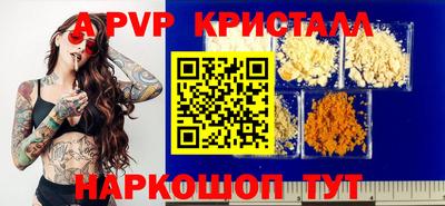 PSILOCYBIN Гатчина