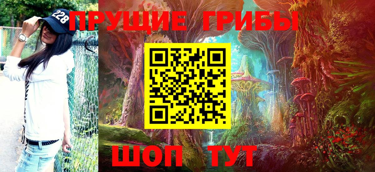 Галлюциногенные грибы прущие грибы  Галлюциногенные грибы GOLDEN TEACHER  Солнечногорск  Вход с VPN 