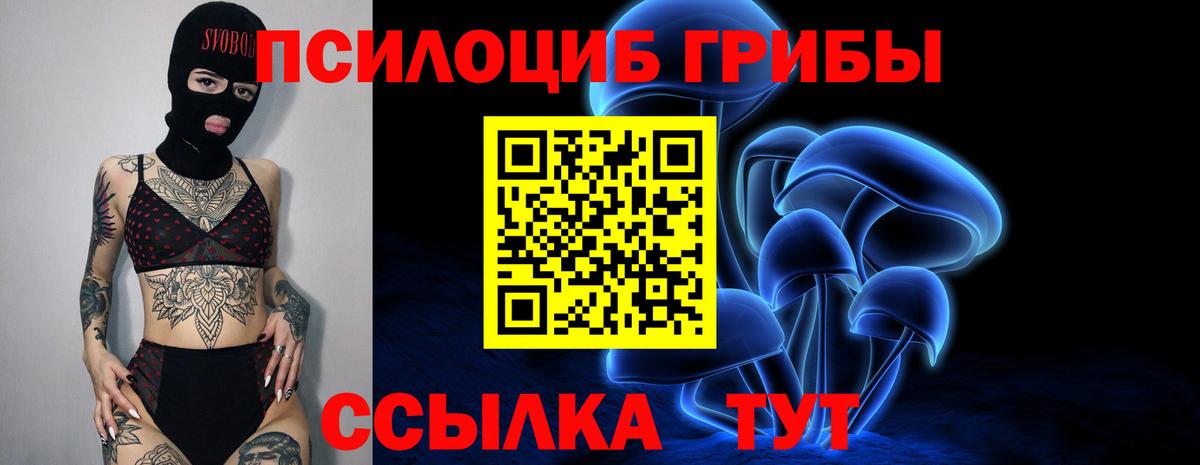Псилоцибиновые грибы Magic Shrooms Солнечногорск